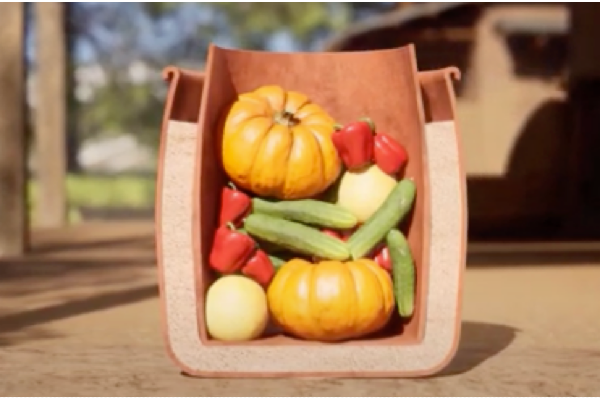 New SAWBO Animation Details How To Keep Fruits And Vegetables Fresh Longer Using Clay Pot Coolers