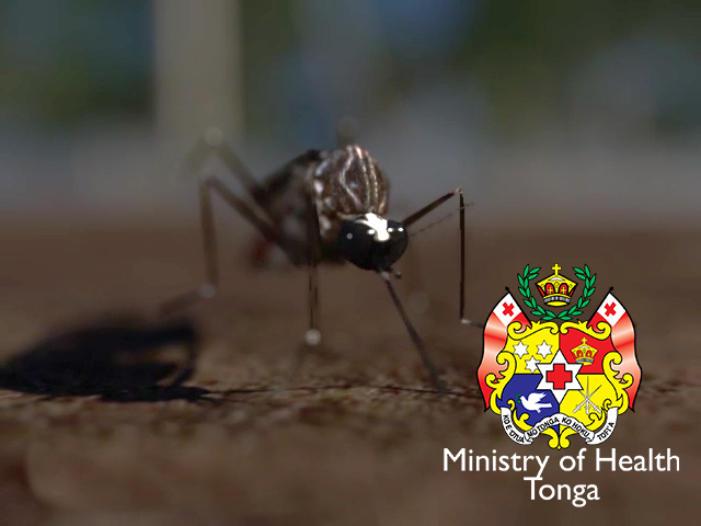 Dengue Prevention: Variant for Tonga