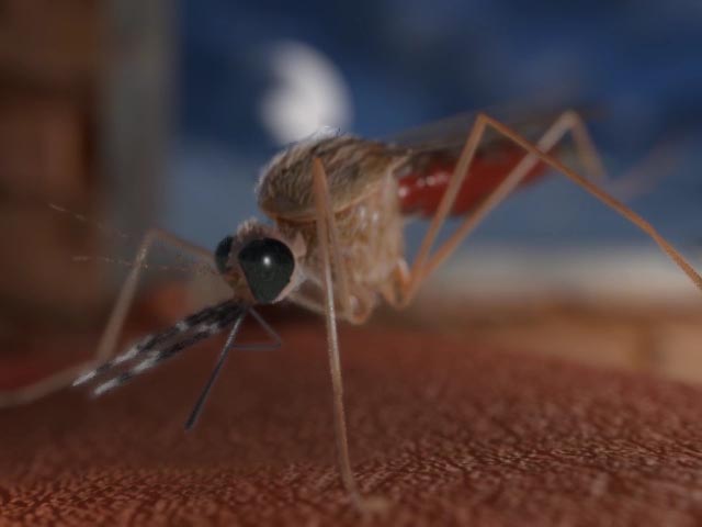 Malaria Prevention Song