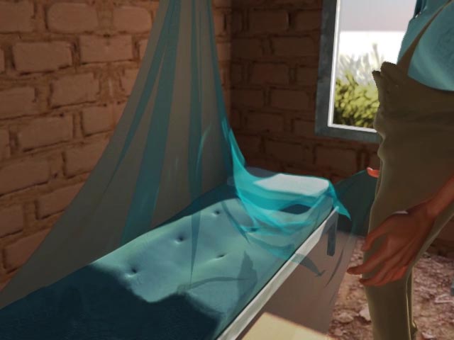 Malaria Prevention: Bed Nets