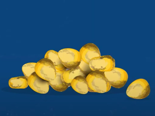 Managing aflatoxin in maize