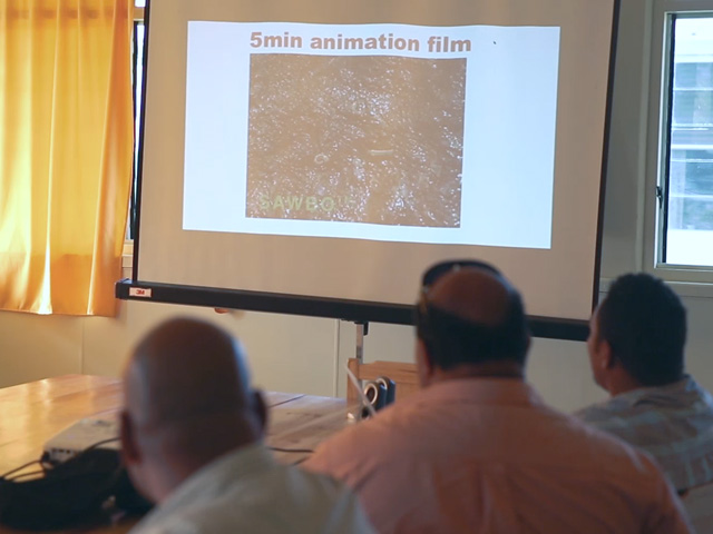 Animation for Dengue Outbreak in Tonga