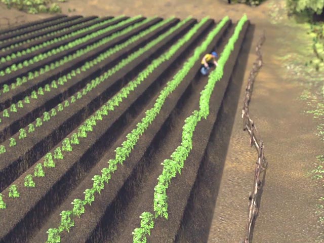 Survival Gardening: Raised Planting Beds